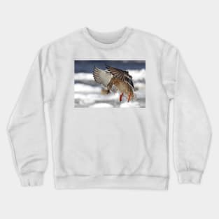 Flaps down - Mallard Crewneck Sweatshirt